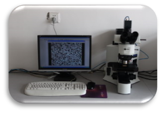 Metallographic analysis